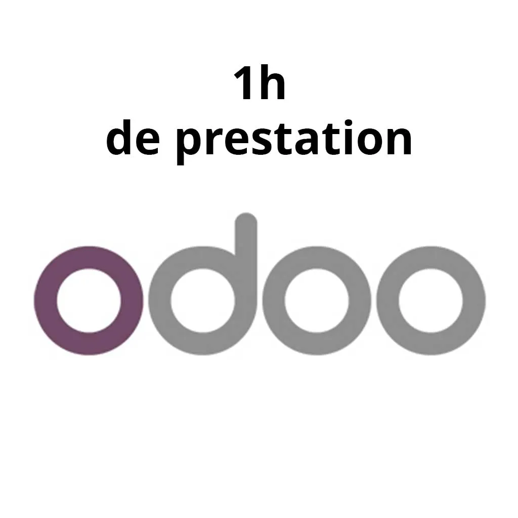 [1H-Odoo] Consulting Odoo